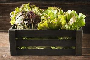 Salad in box photo