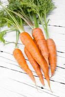 Fresh organic carrots.