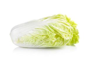 Fresh  Chinese cabbage isolated on white  background photo
