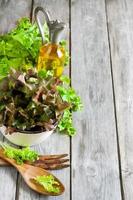 Green salad background photo