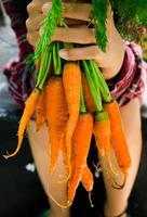 manos sosteniendo zanahorias frescas crudas foto