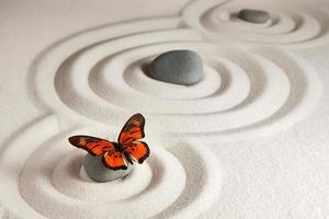 Zen rocks with butterfly photo