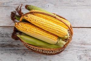 Fresh corn photo