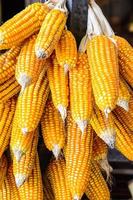 Dry corn photo