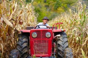 viejo agricultor manejando su tractor en el maizal foto