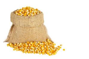 Corn  in the sack
