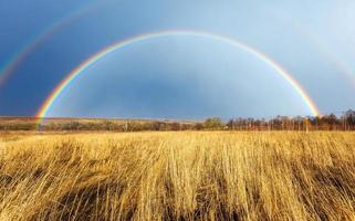 hermoso arco iris completo sobre el campo de la granja en primavera