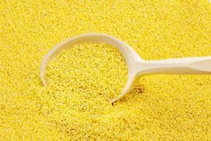 Wooden spoon on yellow millet groats photo