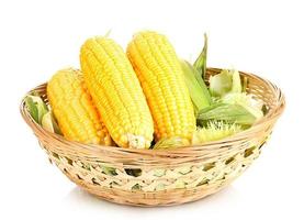 mazorcas de maíz frescas en la cesta aislada en blanco foto