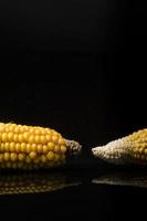 Corn, cob, yellow, black, copy space, food, black