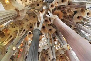 Inside Sagrada Familia photo