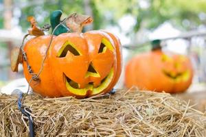 Halloween, pumpkins and Halloween scenery photo