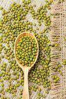 Wooden spoon with heap of raw green organic mung beans