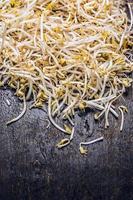 Fresh bean sprouts on old dark wooden background, top view photo