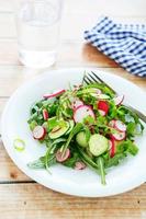 crispy salad with cucumber and radish