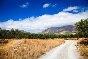 rural landscape of Greece photo