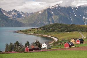 fjord landscape near village Djupvik