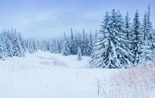 maravilloso paisaje de invierno foto