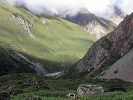 paisaje alto del Himalaya con yaks foto