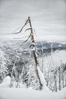 winter hike photo