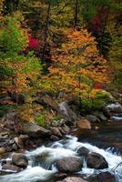 Wilson Creek Autumn 10