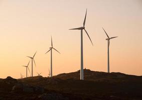 Wind turbines in a landscape photo