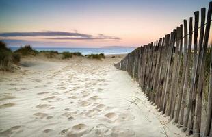 paisaje de dunas de arena cubierta de hierba al amanecer