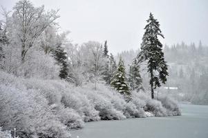 invierno en el lago