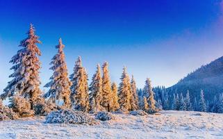 árbol mágico de invierno cubierto de nieve
