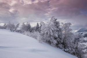 paisajes de invierno en las montañas