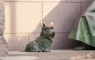 Pet dog at Roosevelt memorial Washington DC photo