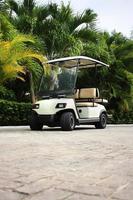 Golf Cart photo