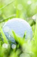 golf ball on grass with bokeh background