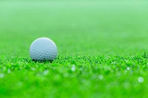 Golf ball on grass in the golf course, Thailand photo