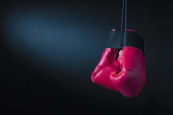 Boxing Gloves 787052 Stock Photo at Vecteezy