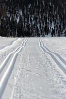doble pista de esquí nórdico foto