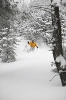Expert skier skiing powder snow in Stowe, Vermont, USA photo