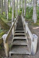 Wood Staircase in Hiking Trail