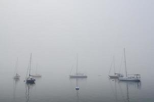 Foggy Harbor