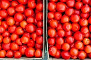 cajas llenas de tomates