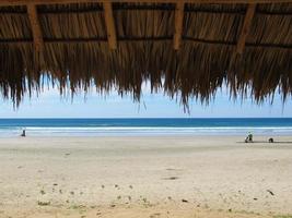 Tranquil beach with palm leaf cabana.