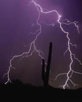 Desert Lightning photo