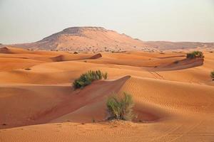 desierto de arena roja foto