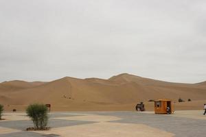 Sand Dunes photo