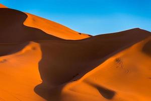 The high dunes of Erg Chebbi, Morocco photo