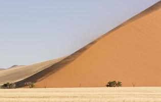 Big Dune photo