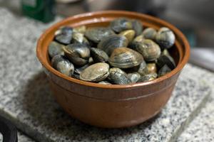 Fresh raw manila clams photo