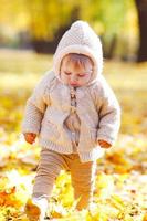 Autumn portrait of child