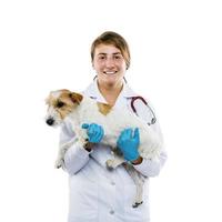Female veterinarian examining dog isolated