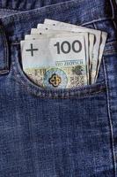 several Polish banknotes jeans pocket photo